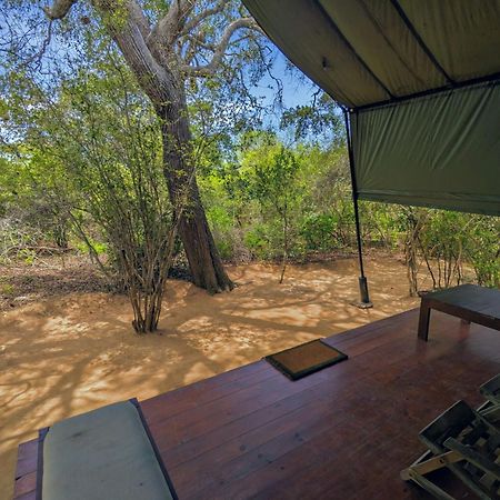 Yala Hotel Lion -Air Conditioned High Luxury Safari Camp Exterior foto