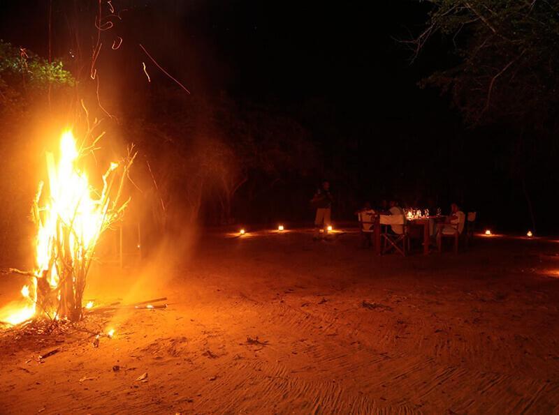 Yala Hotel Lion -Air Conditioned High Luxury Safari Camp Exterior foto