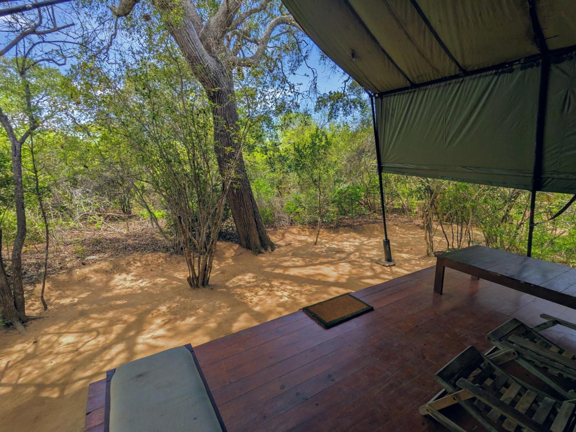 Yala Hotel Lion -Air Conditioned High Luxury Safari Camp Exterior foto