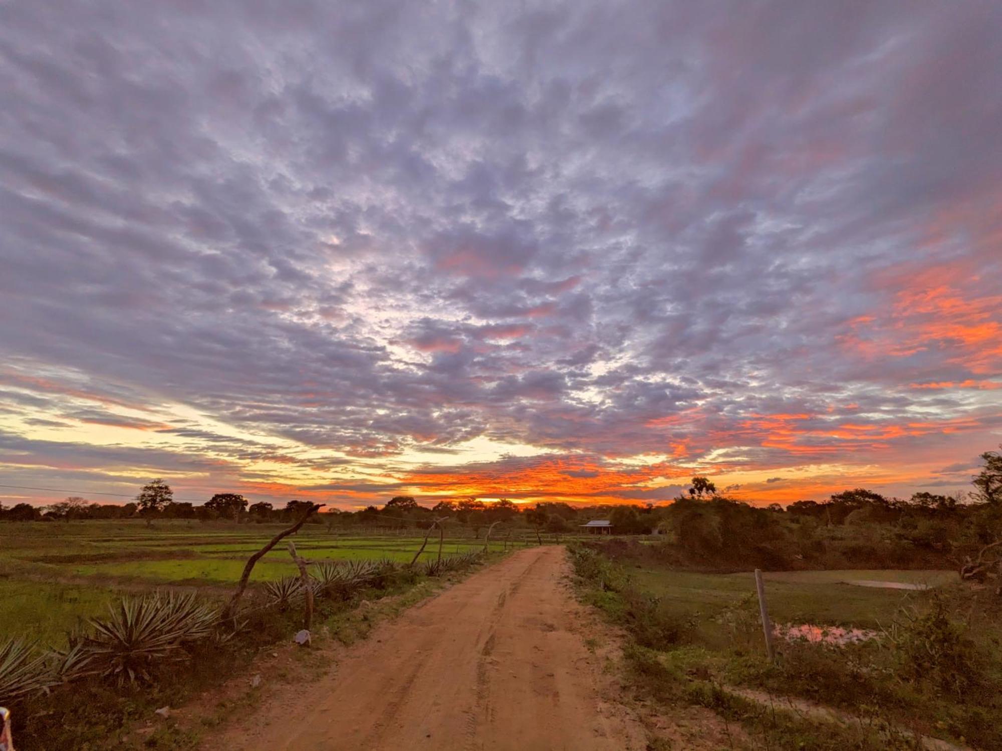 Yala Hotel Lion -Air Conditioned High Luxury Safari Camp Exterior foto