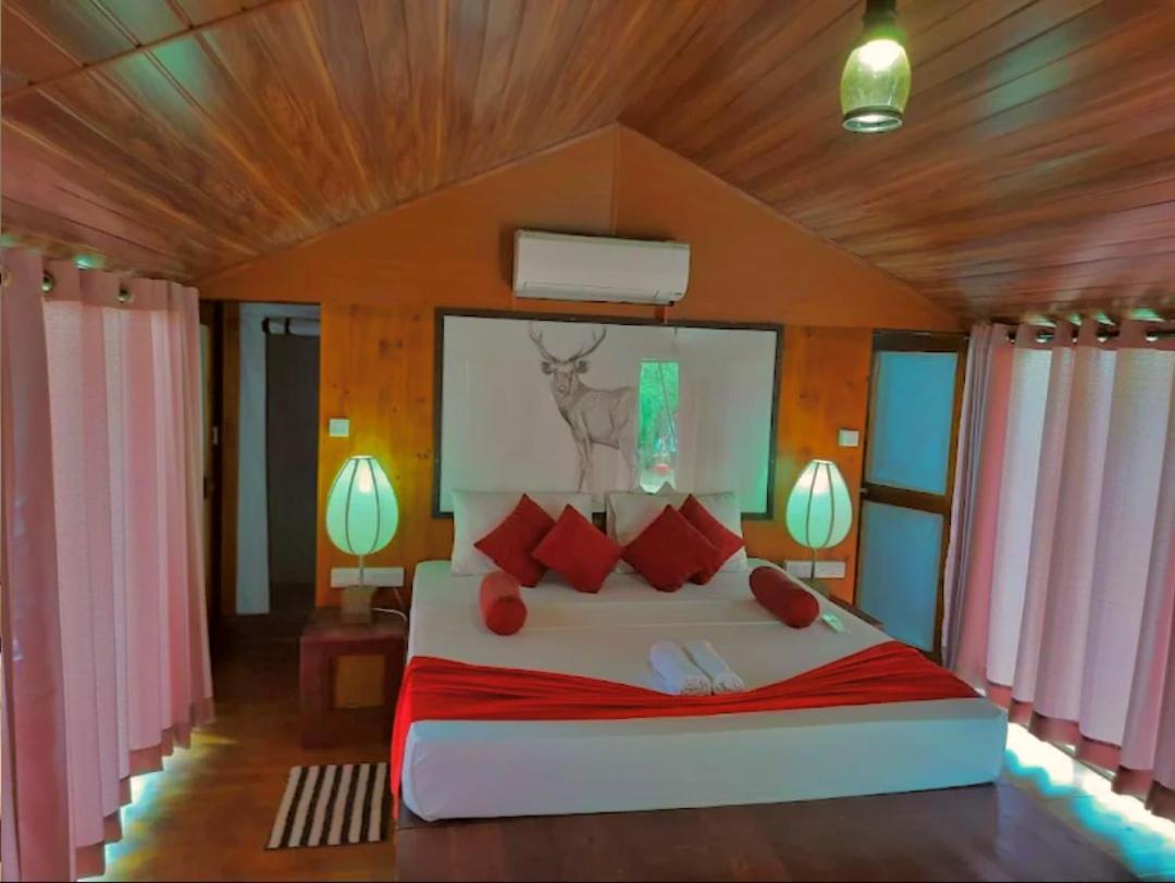 Yala Hotel Lion -Air Conditioned High Luxury Safari Camp Exterior foto